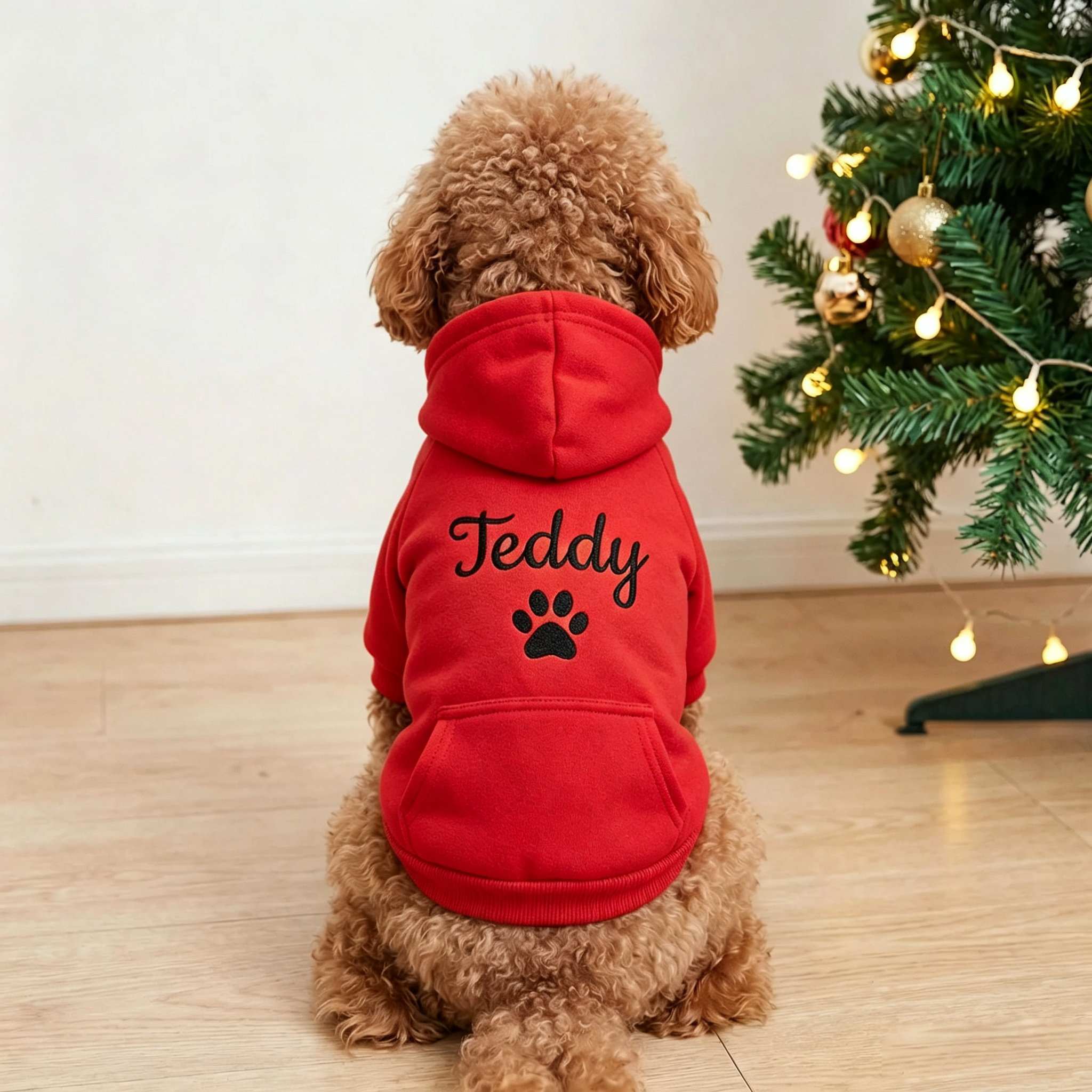 Personalized Embroidered Pet Name Hoodies | MNCloth239
