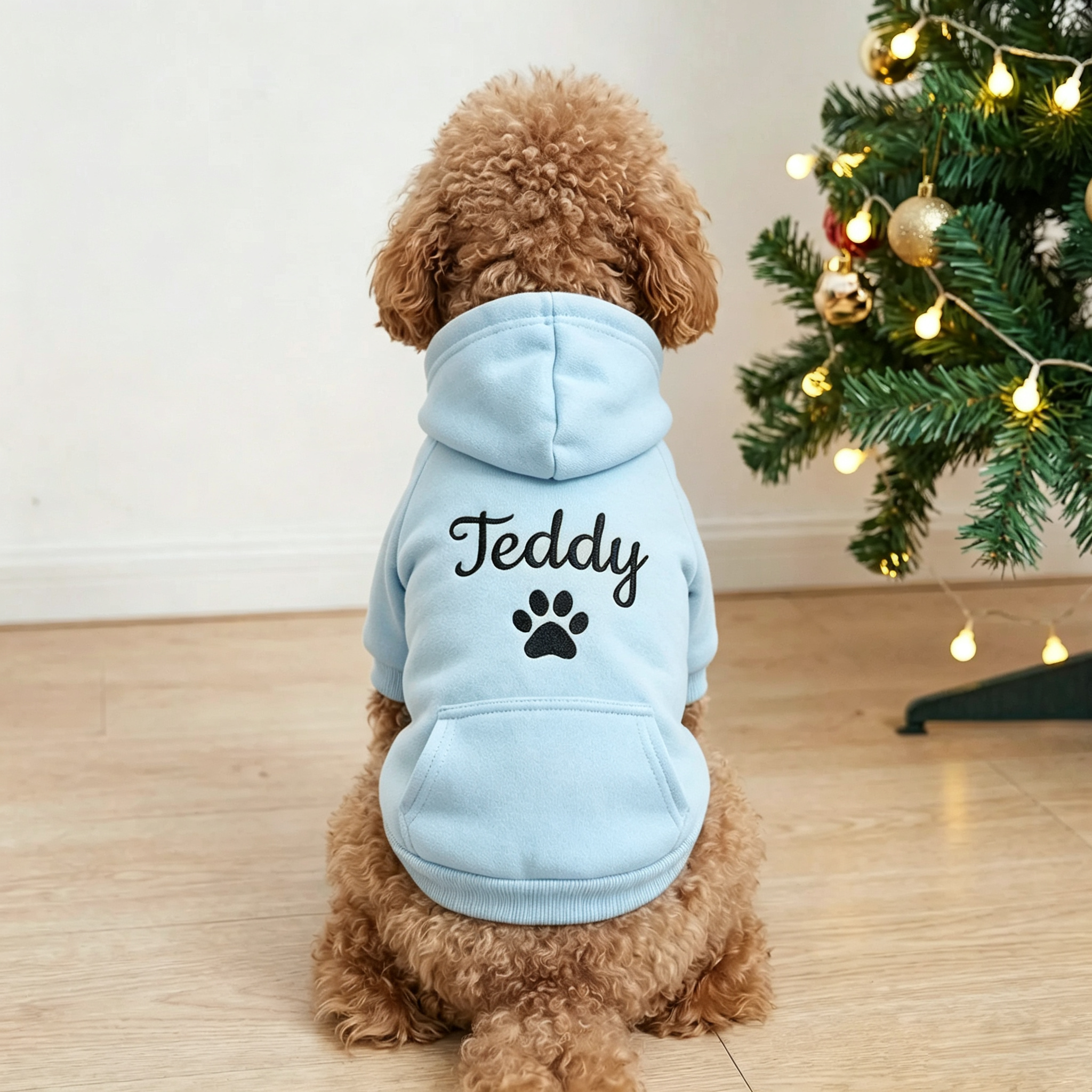 Personalized Embroidered Pet Name Hoodies | MNCloth239