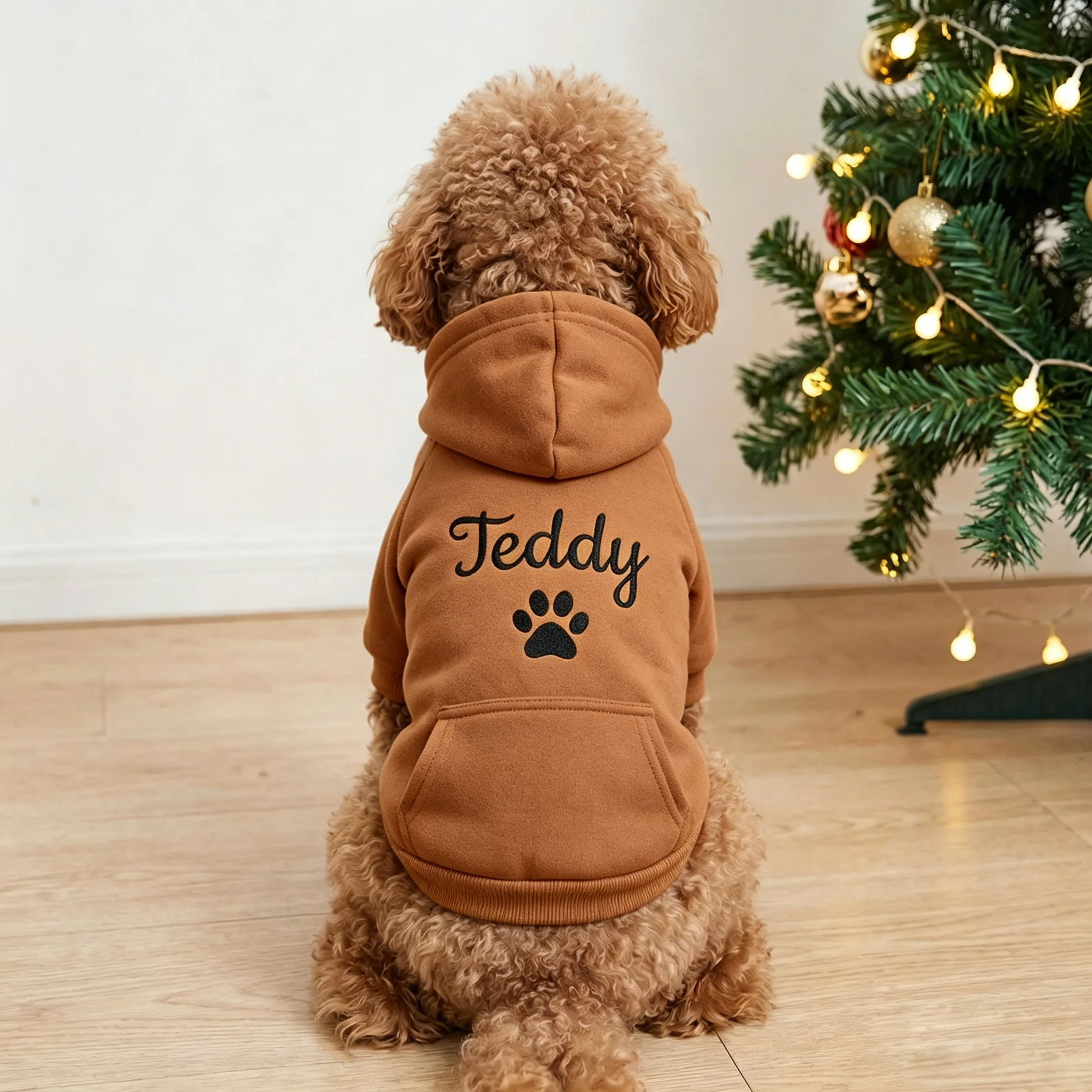 Personalized Embroidered Pet Name Hoodies | MNCloth239