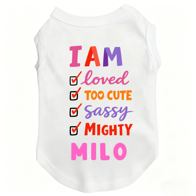 Personalized I AM Loved Checklist Pet Shirt | MNCloth208