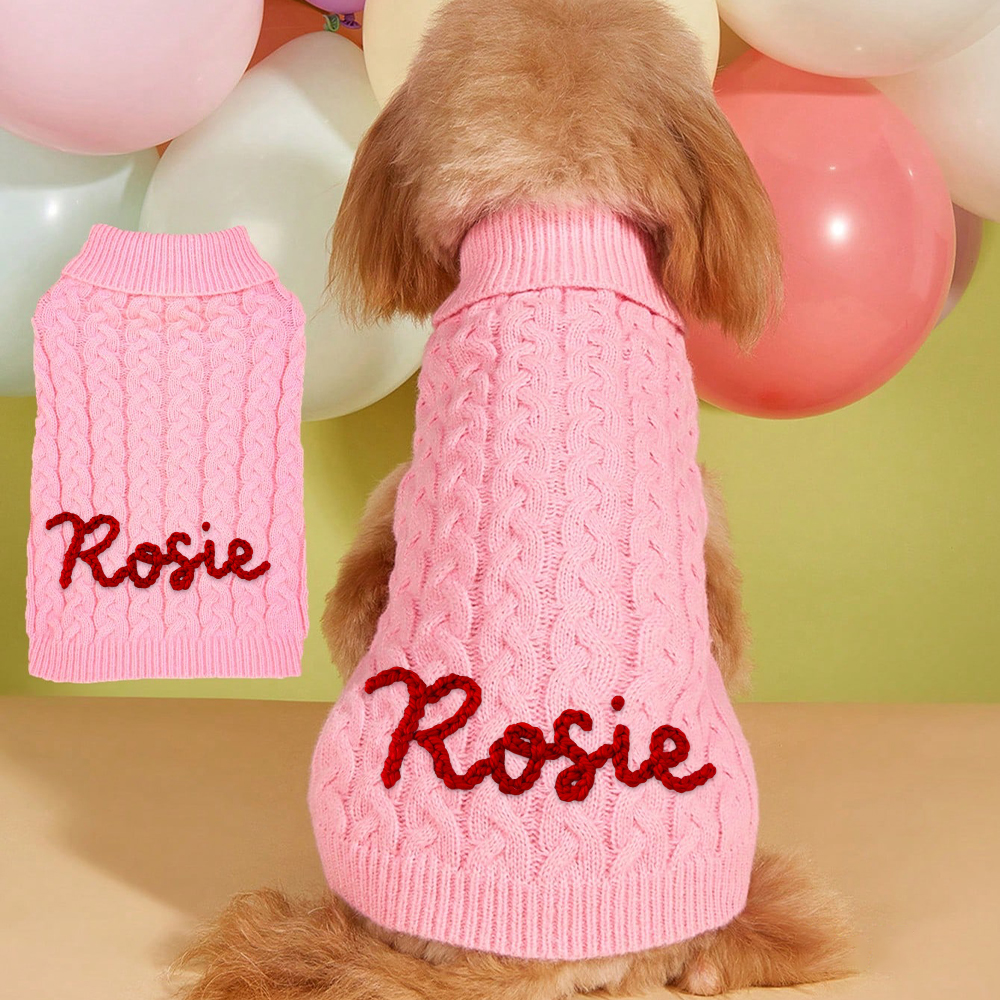 Personalized Hand Embroidery Pets Colourful Sweater | BKPet233