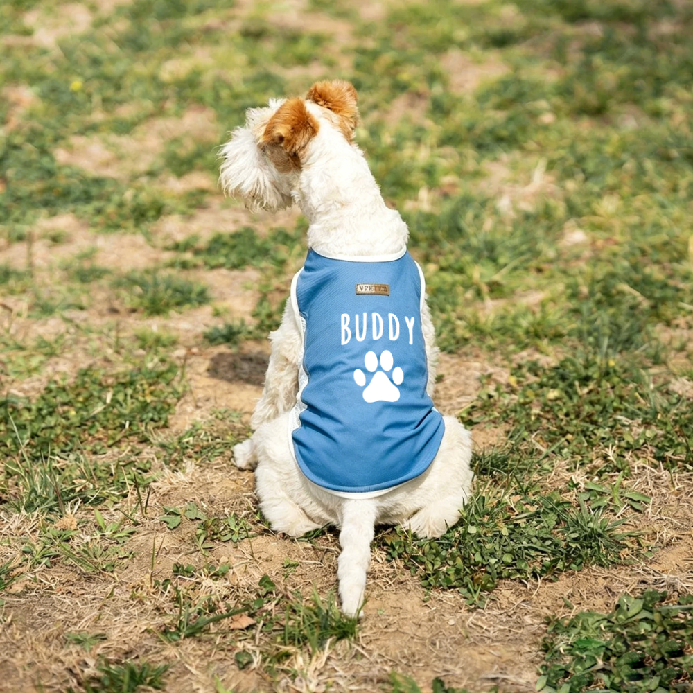 Personalized Summer Cooling Mesh Dog Vest | MNCloth223