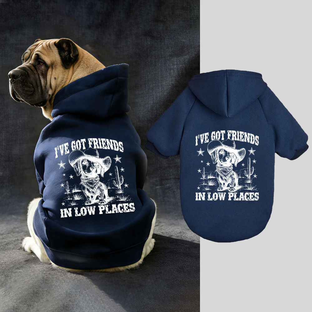 I'VE GOT FRIENDS Puppy Hoodie | BKPet340