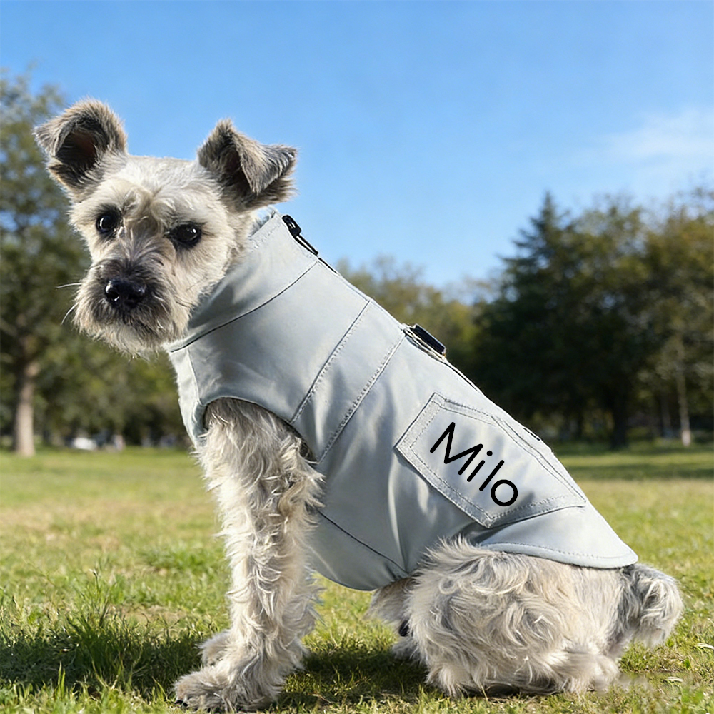 Personalized Pet Winter Warm Windproof Leather Jacket | BKPet361