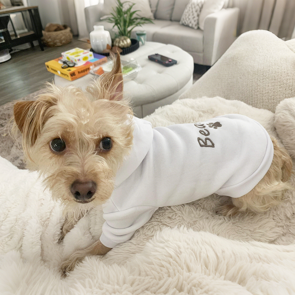 Personalized Embroidery Warm Soft Puppy Hoodie | BKPet362