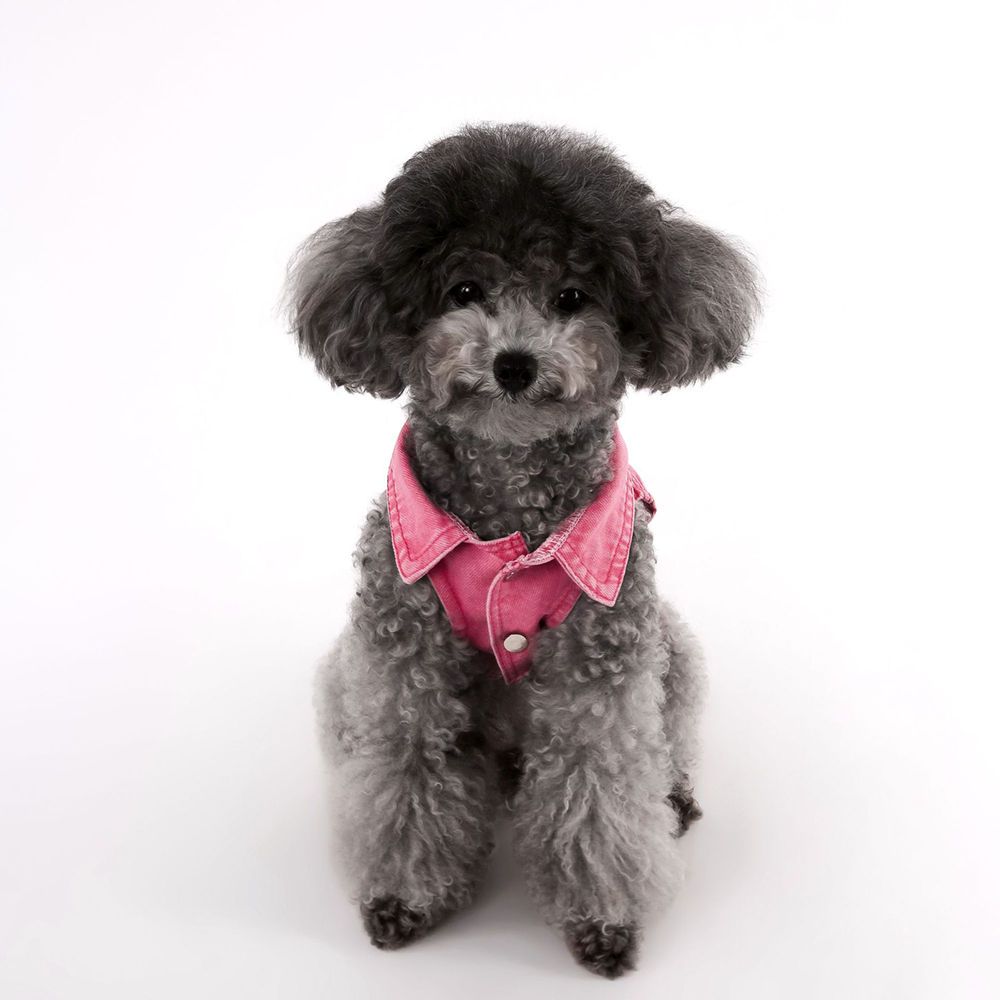 Personalized Handmade Chenille Patch Pets Denim Jacket | BKPet405
