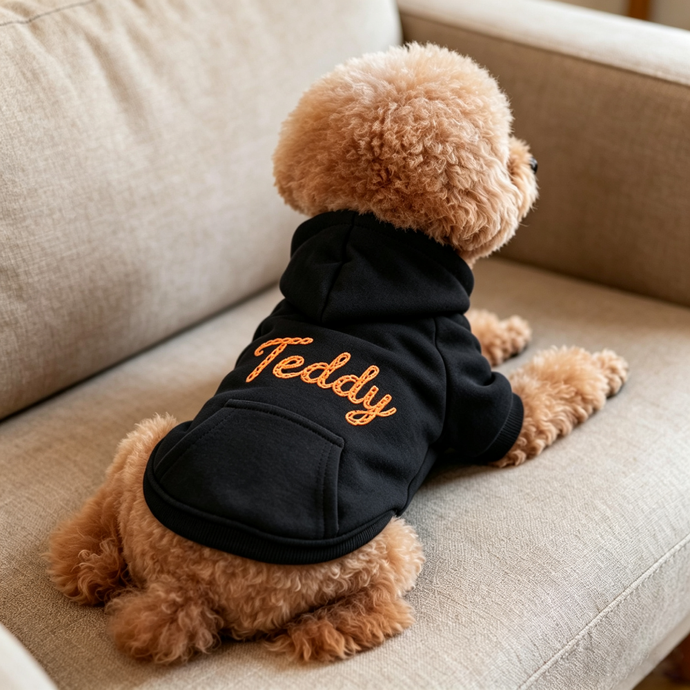 Personalized Embroidered Pet Name Hoodies | MNCloth244