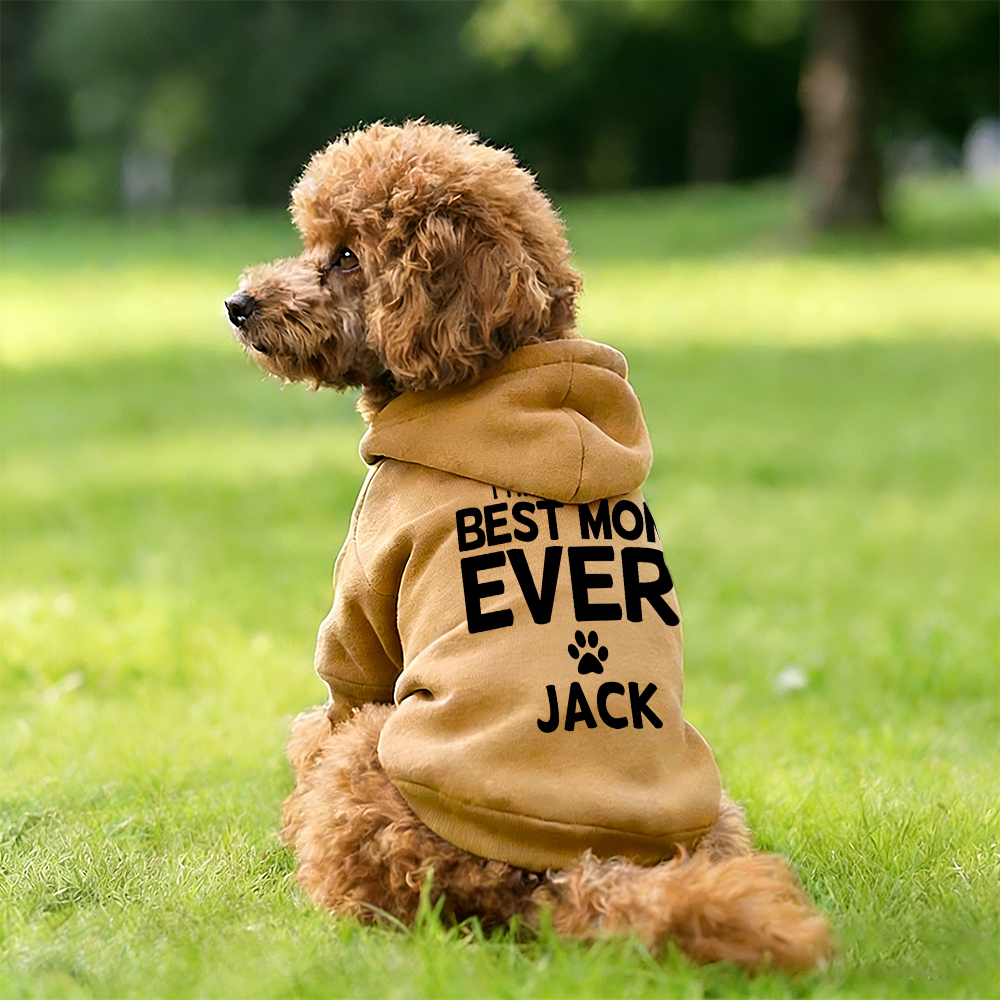 Personalized I Have the Best Mom Ever Pet Soft Hoodie | BKPet430