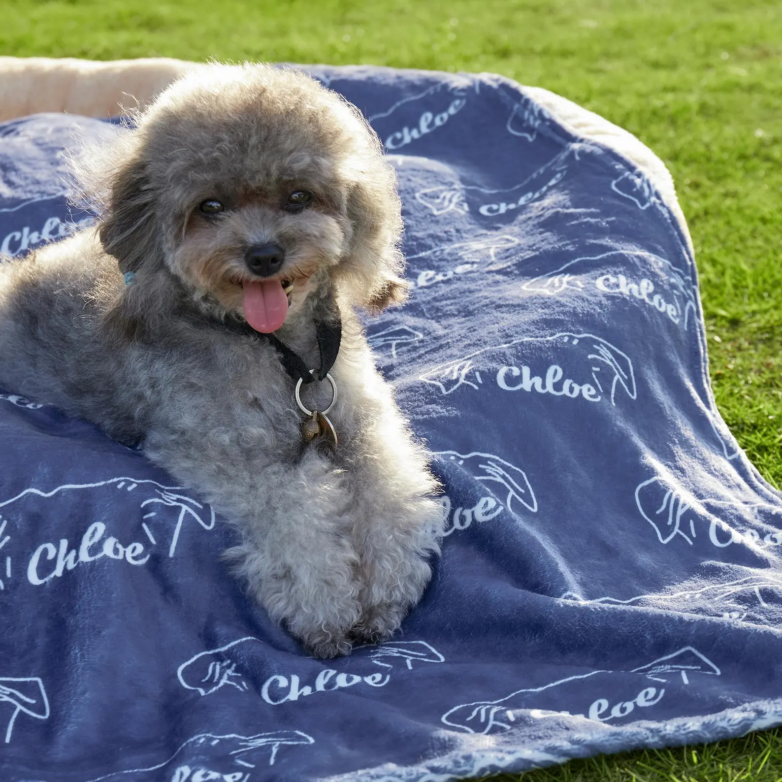 Personalized Lovely Pet Blanket for Comfort & Unique | BKPet102