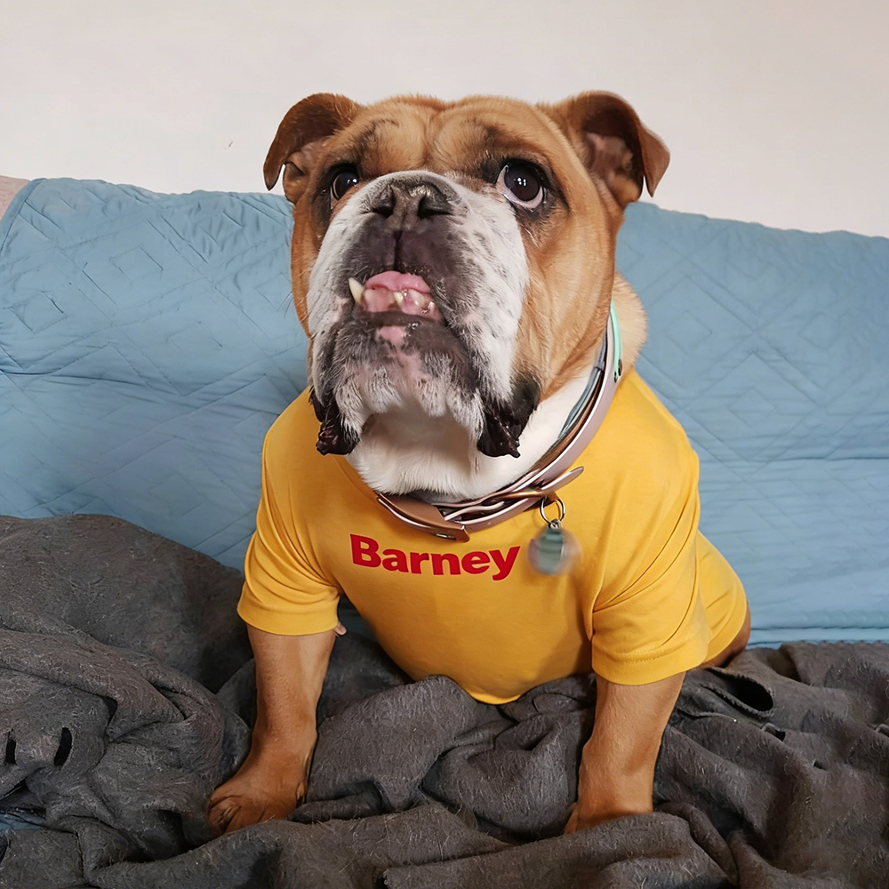 Personalized Chicken Nuggets Large Size Soft Pet Tee | BKPet447