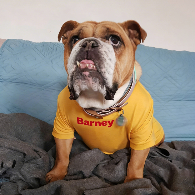 Personalized Chicken Nuggets Large Size Soft Pet Tee | BKPet447