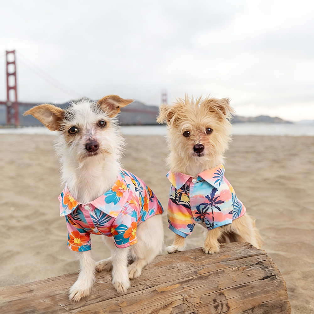 Personalized Leather Patch Hawaiian Pet Shirt/Dress | BKPet458