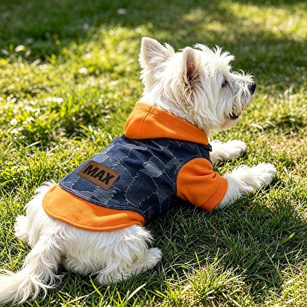 Personalized Pet Denim Patchwork Jacket Hoodie | BKPet565