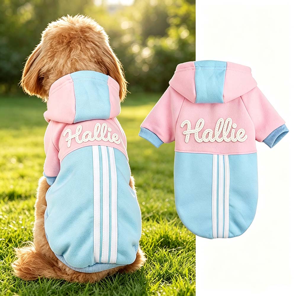 Personalized Hand Embroidered Color-blocked Hooded Pet Sweatshirt | BKPet577