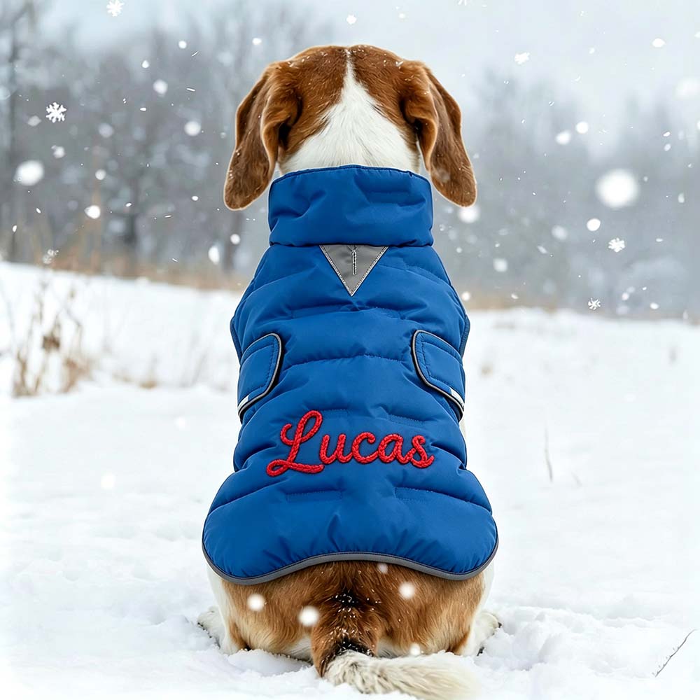 Personalized Hand Embroidered Dog Winter Warm Puffer Vest | BKPet589