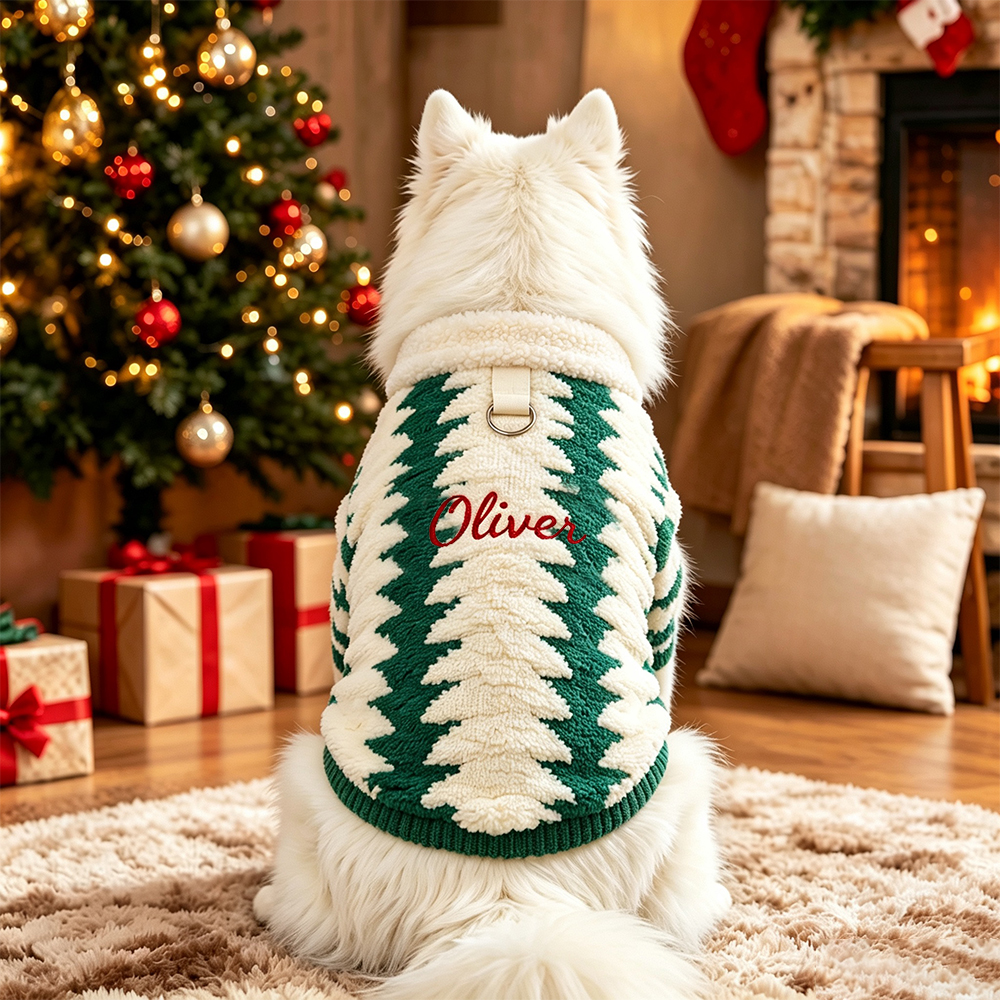 Personalized Embroidered Christmas Dog Sweater | BKPet603
