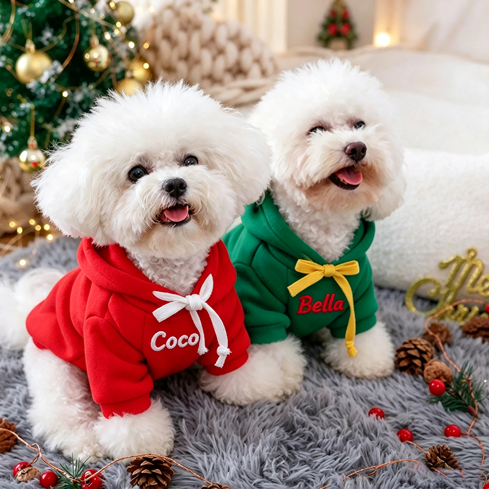 Personalized Embroidered Lovely Pet Christmas Hoodie | MCGift431