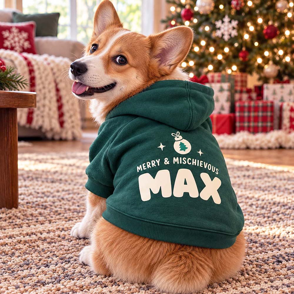 Personalized Christmas Pets Merry & Mischievous Hoodie | MCGift435