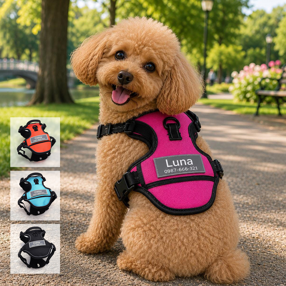 Personalized Pet Reflective Safety ID Tag Chest Harness  | BKPet611
