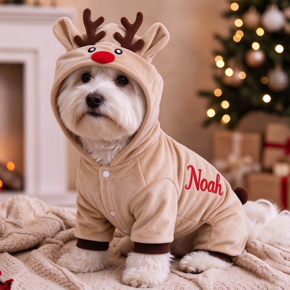 Personalized Embroidered Pets Christmas Reindeer Outfit | MNCloth276
