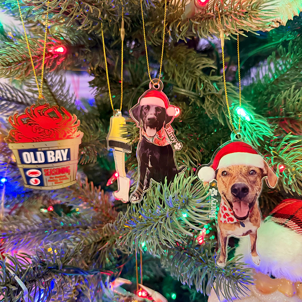 Personalized Pets Adorable Christmas Tree Photo Ornament | MNGift47