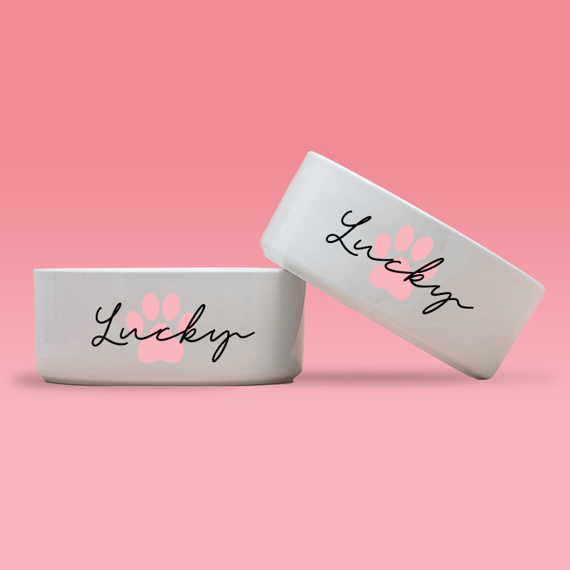 Personalized Pet Paw Print Design Dog Bowl  | BKPet41