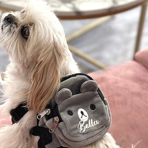 Personalized Cartoon Bear Pet Backpack| BKPet49