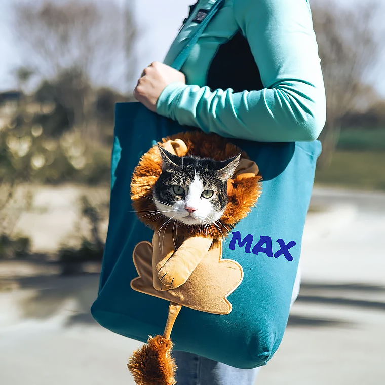 Personalized Lion Design Portable Breathable Cute Pet Carriers | BKPet60
