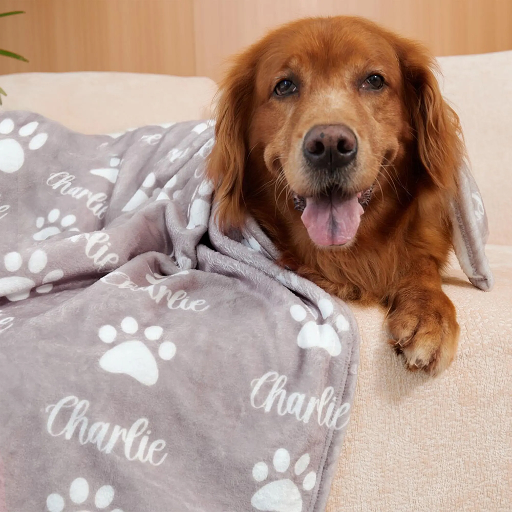 Personalized Lovely Pet Blanket for Comfort & Unique | BKPet104