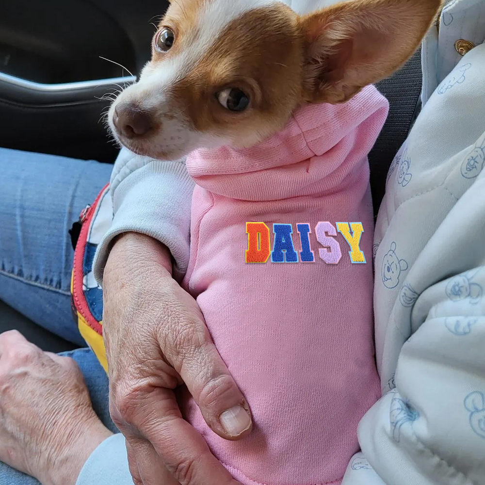 Personalized Varsity Letter Dog Hoodie for Comfort and Unique | BKPet140