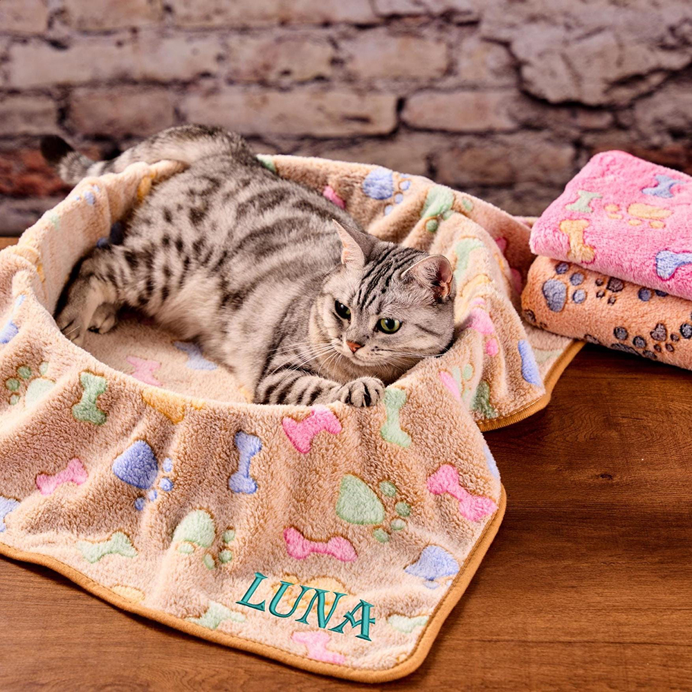 Personalized Embroidered Lovely Flannel Pet Blanket | BKPet198