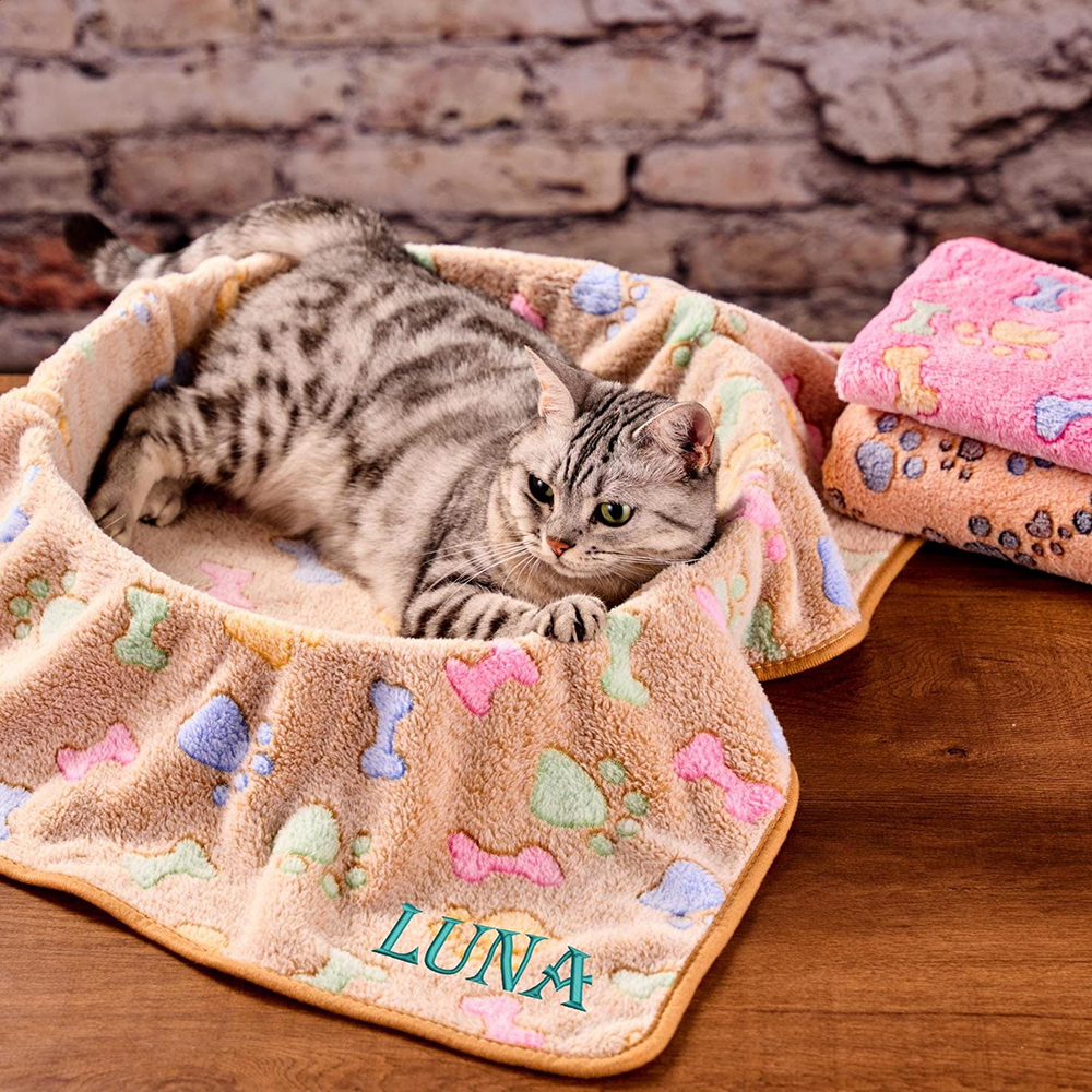 Personalized Embroidered Lovely Flannel Pet Blanket | BKPet198