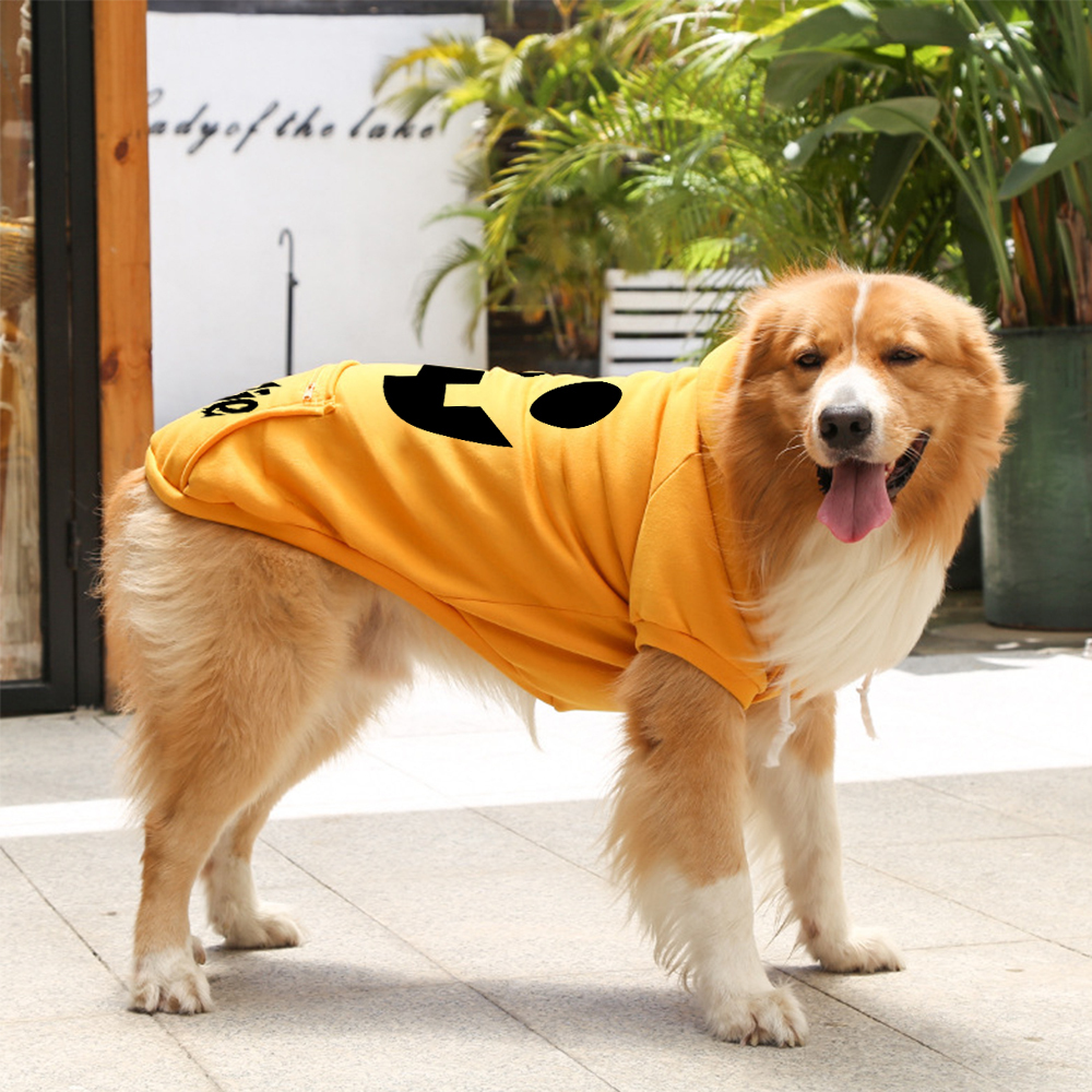 Personalized Halloween Puppy Hoodie for Comfort & Unique | CWHalloween56