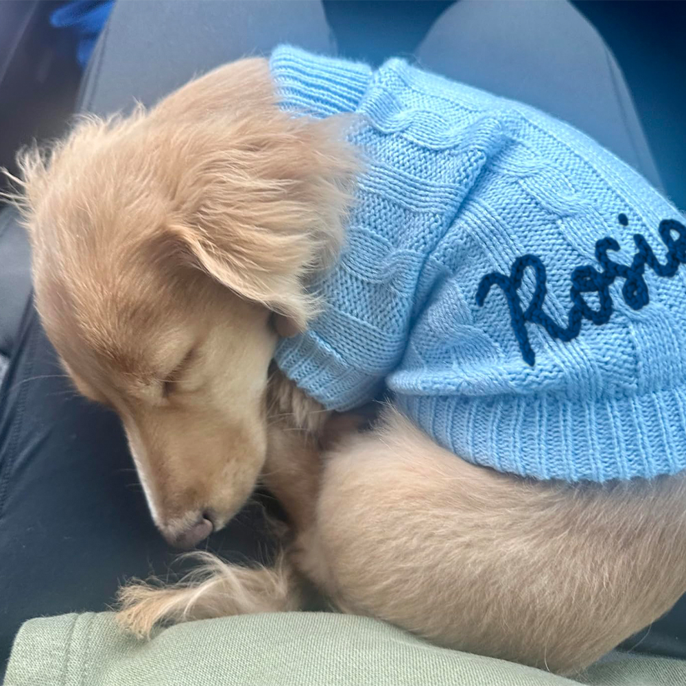 Personalized Hand Embroidery Pets Colourful Sweater | BKPet233