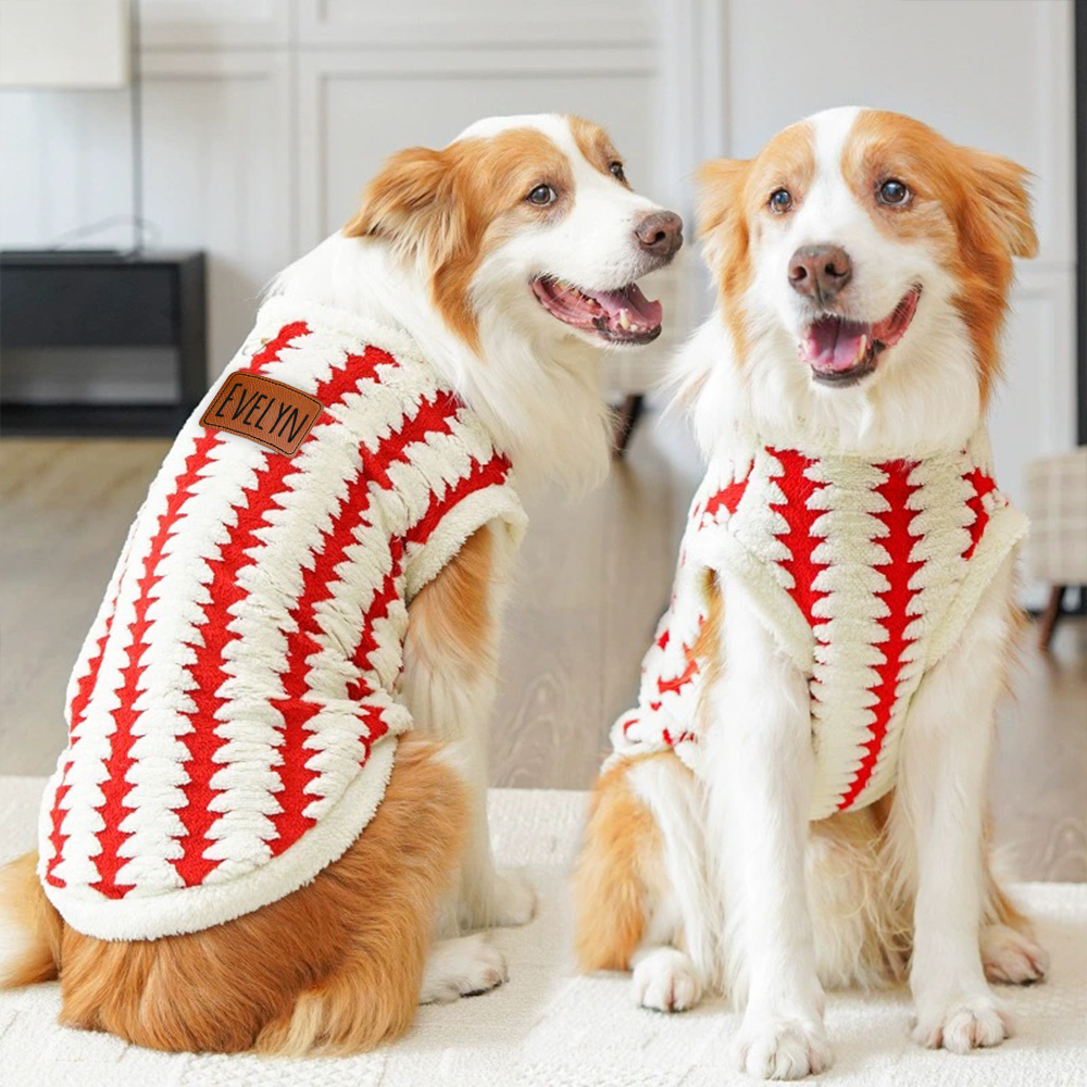 Personalized Leather Patch Warm Coral Fleece Dog Winter Coat | BKPet242