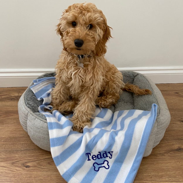 Personalized Warm Pet Blanket for Comfort & Unique | BKPet240