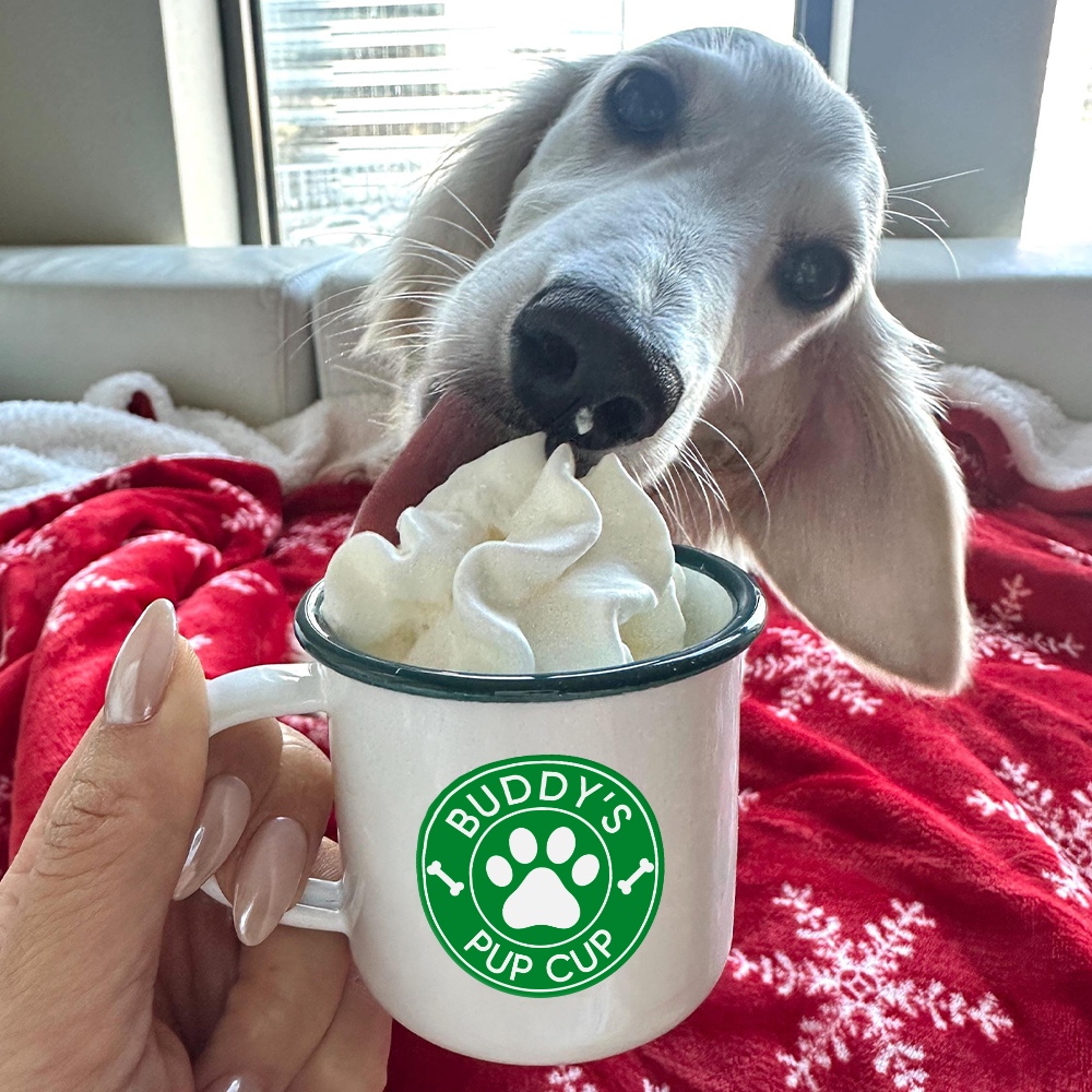 Personalised 12oz Pet Enamel Reusable Pup Cup Mug | BKPet280