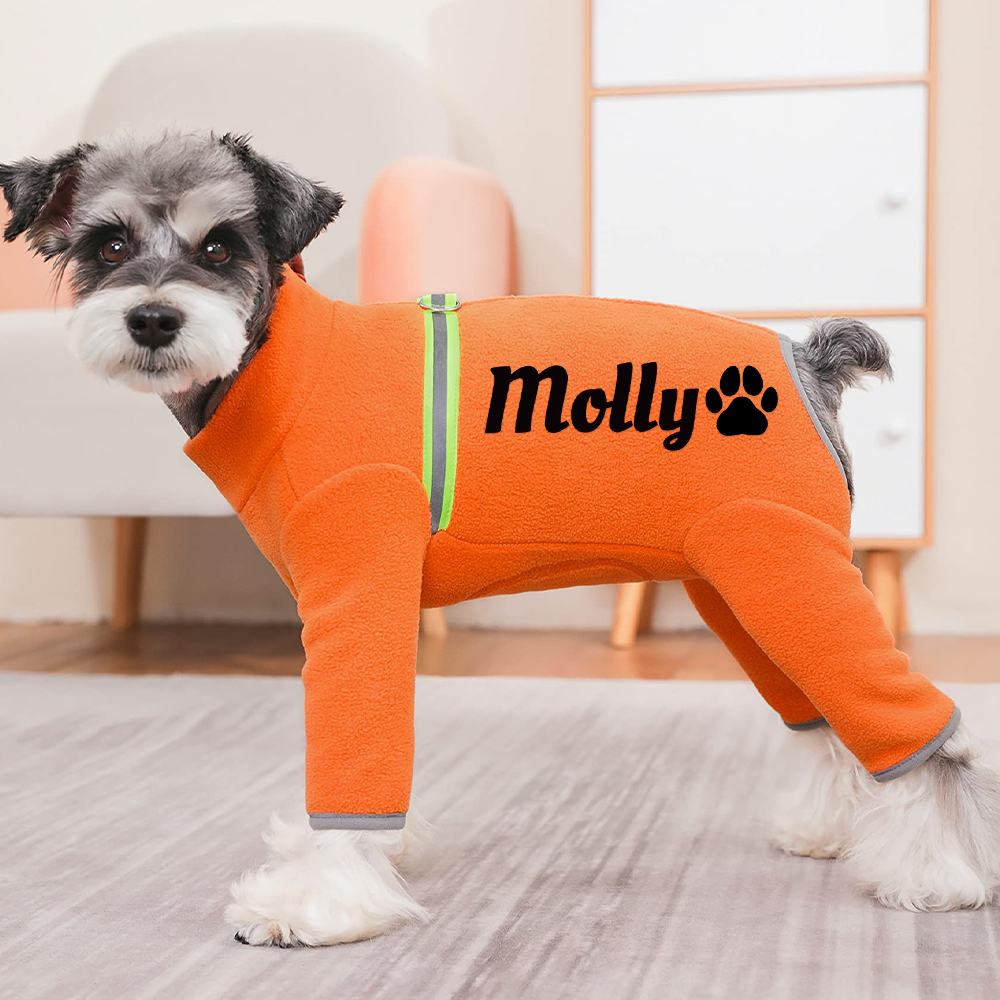 Personalized Pet Winter Warm Fleece Long Sleeve Sweater | BKPet312
