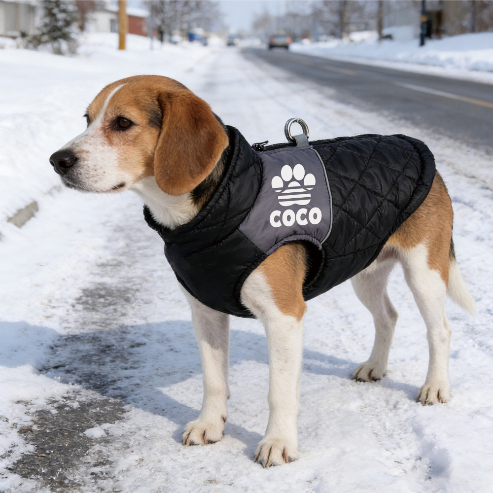 Personalized Pet Winter Warm Windproof Puffer Jacket | BKPet348