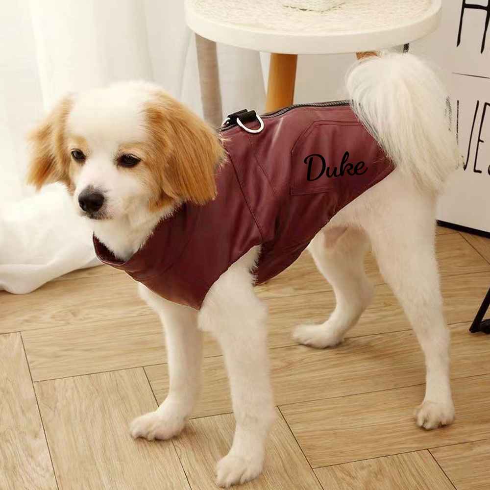 Personalized Pet Winter Warm Windproof Leather Jacket | BKPet361