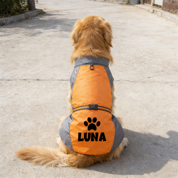 Personalized Pet Large Size Waterproof Raincoat Jacket | BKPet414