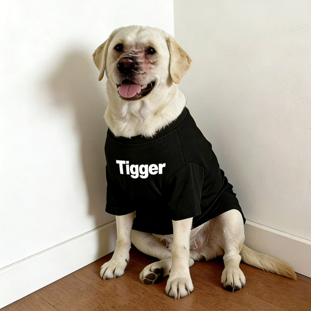 Personalized Chicken Nuggets Large Size Soft Pet Tee | BKPet447