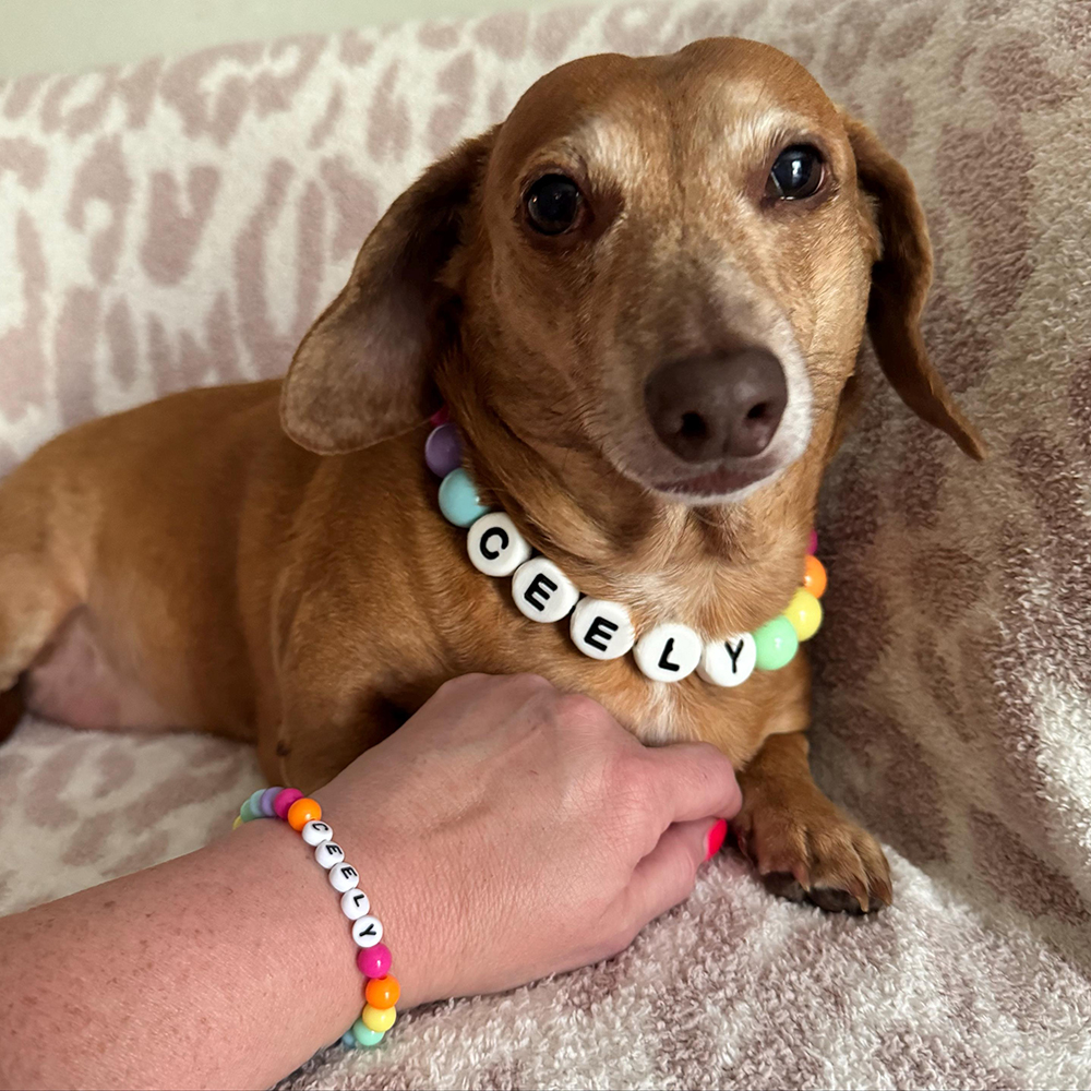 Personalized Handmade Matching Pet Necklace & Owner Bracelet | BKPet456