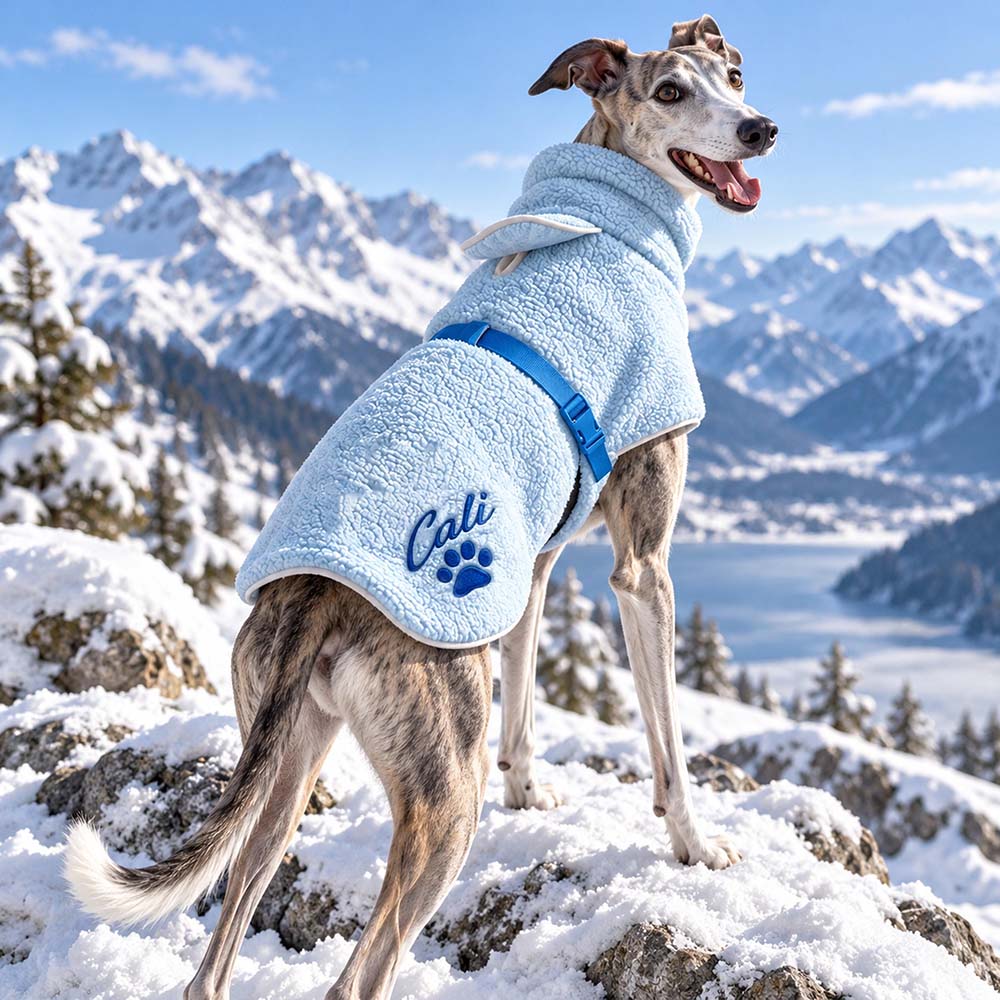 Personalized Embroidered Winter Warm Dogs Fleece Coat | BKPet602