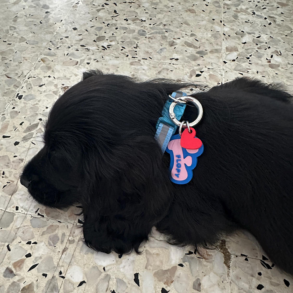 Personalized 3D Printed Initial Pet ID Tag | MNAccs132