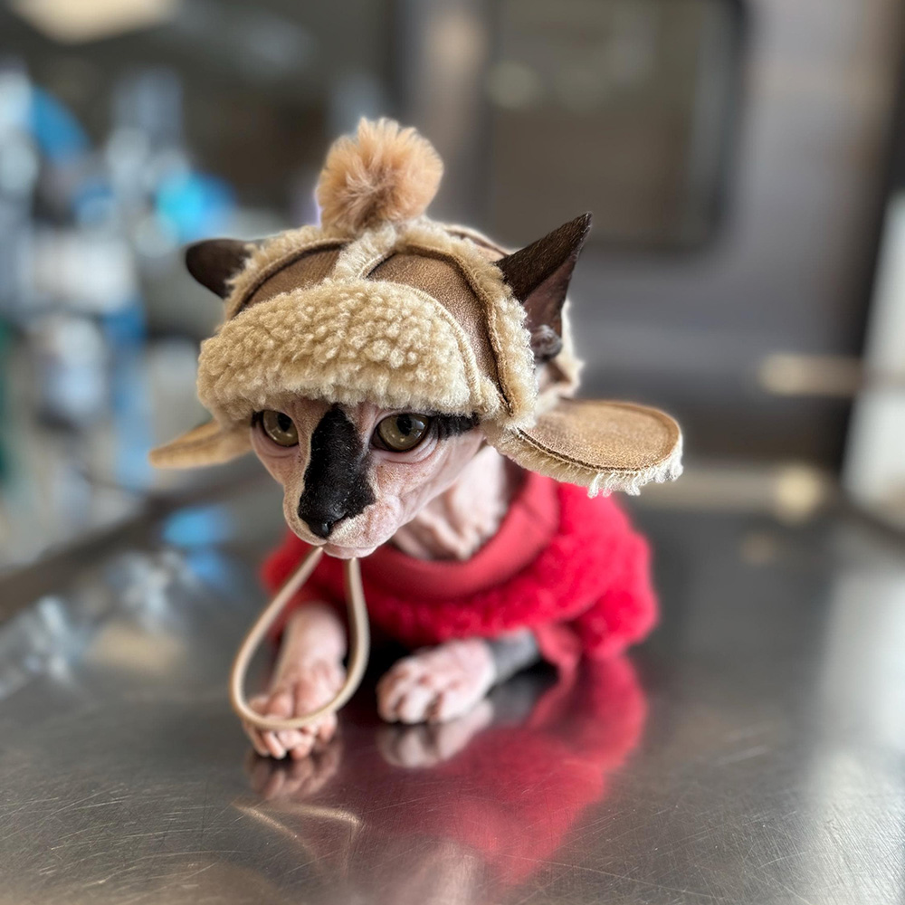 Winter Sherpa Fleece Aviator Hat with Ear Holes | MNAccs141