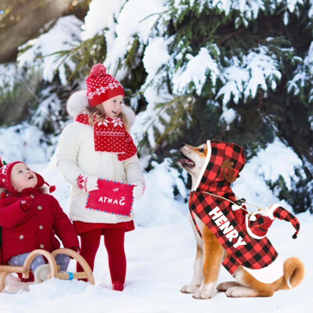 Personalized Christmas Santa Pet Riding Clothes | BKPet96