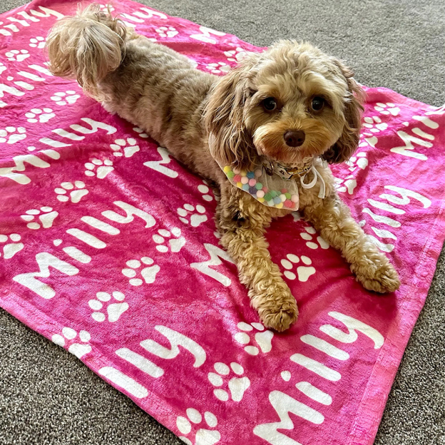 Personalized Lovely Pet Blanket for Comfort & Unique | BKPet14