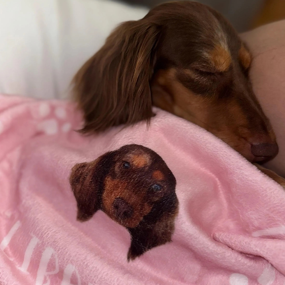 Personalized Lovely Pet Blanket for Comfort & Unique | BKPet112