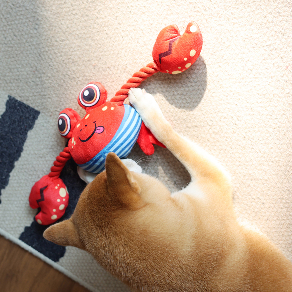 Personalized Handmade Pet Squeaky Interactive Chew Toy | BKPet172